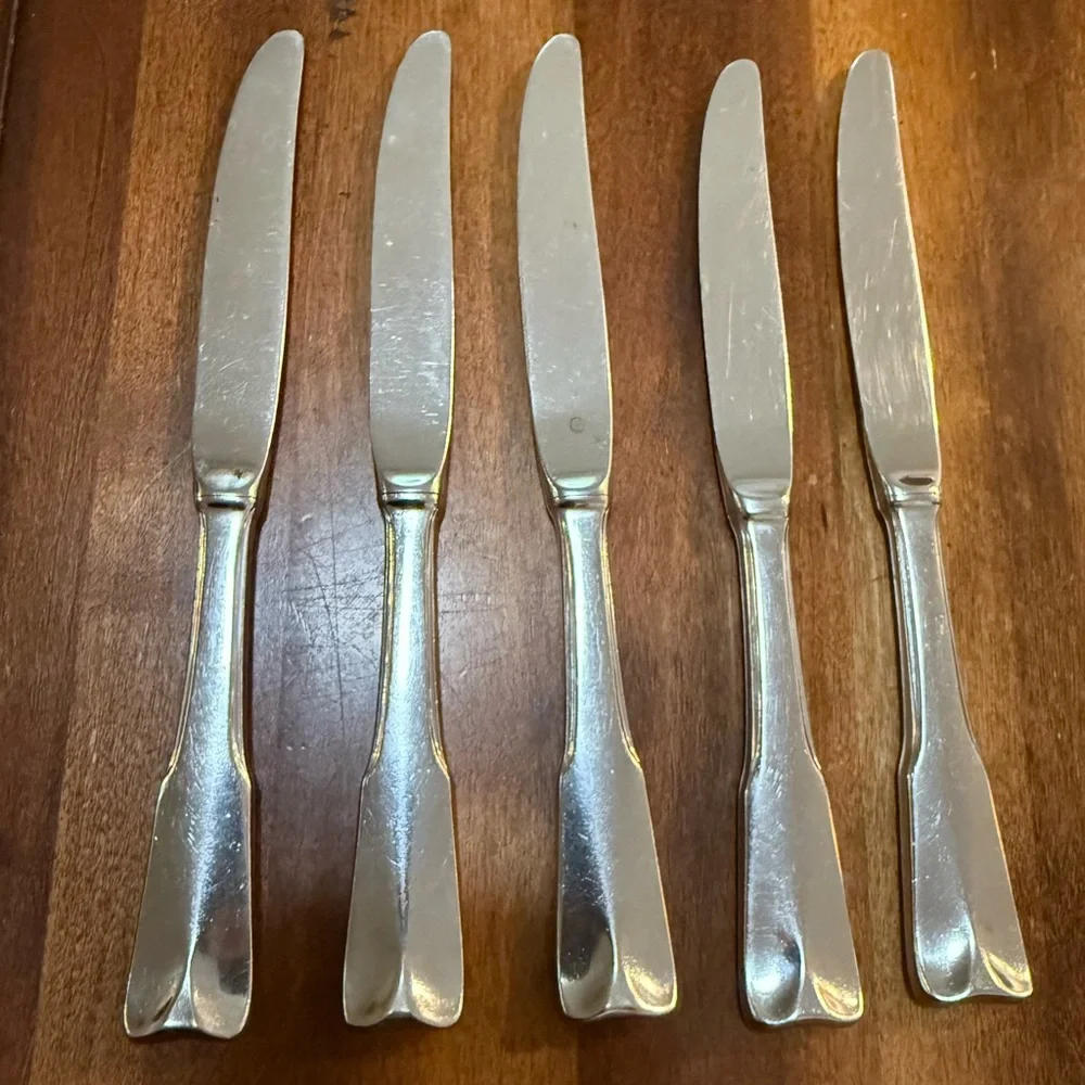 Lunt Modern Classic Stainless Flatware Glossy Knives Set Of 5